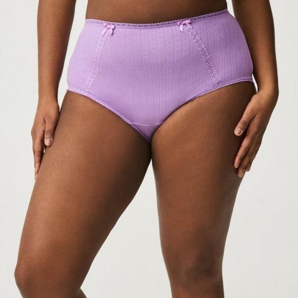 NWOT Purple Cotton brief Panty
